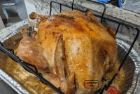 Cooking A Frozen Turkey – What About That Plastic Giblet Bag?