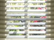 The Easiest, Fastest, Way To Clean Blinds