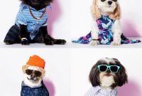 American Beagle Outfitters Joke Turns Real: Dog Clothing Will Debut Holiday 2014