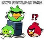 Rovio Warns Of Fake Angry Birds In Space App