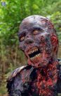 The Walking Dead Episode 14 In Depth:  Smoke Signals