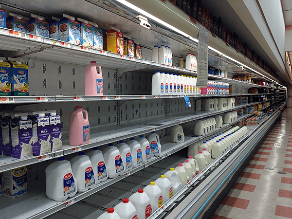 Market Basket August 5th Rally