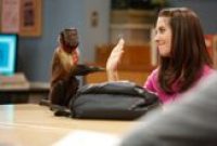 NBC’s Community Premiering 2/7, More Mid-Season News