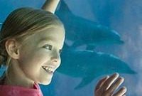 SeaWorld, Busch Gardens, Offering Florida Residents Free Preschool Pass