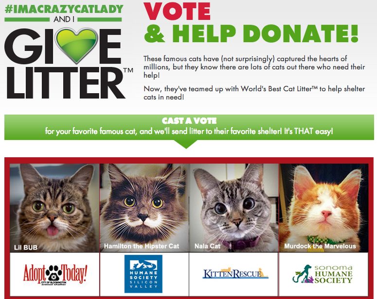 Worlds Best Cat Litter GiveLitter Event