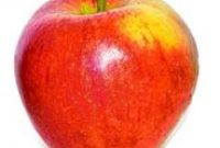 McDonald’s & Burger King Apple Slices Part Of Listeria Recall