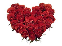 salon 360 valentines day specials