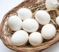 eggs