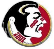 FSU National Champions T-Shirts, Hats, Are On Sale Now!