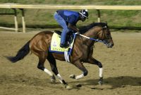 Kentucky Derby 2022: Time, Streaming, Odds & More