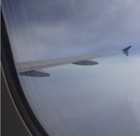 Picture taken during flight