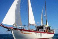 Whitsundays Sailing Adventures Diving & Sea Kayaking [Review]