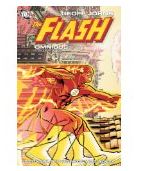 The Flash by Geoff Johns Omnibus, Vol. 1