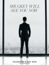 Fifty Shades Of Grey Billboard Revealed, Viral Site Launched!