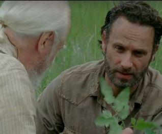 The Walking Dead, a look at season 4